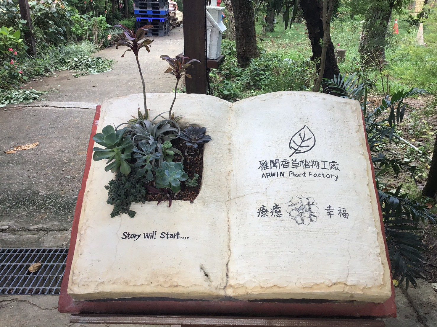 照片