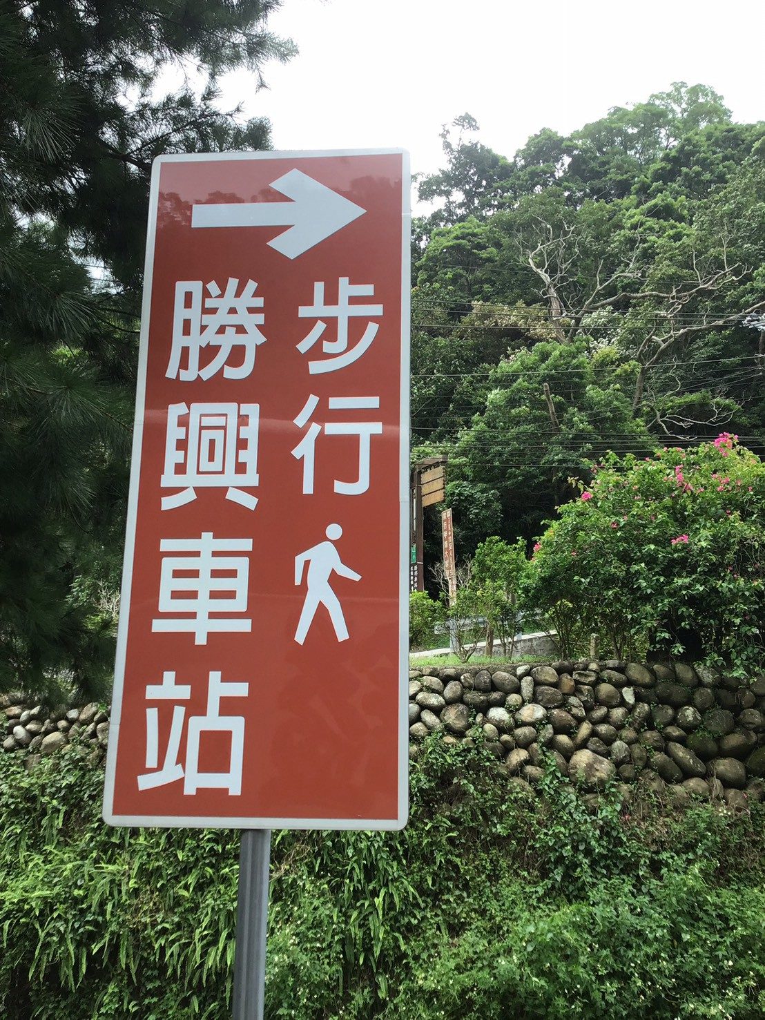 照片
