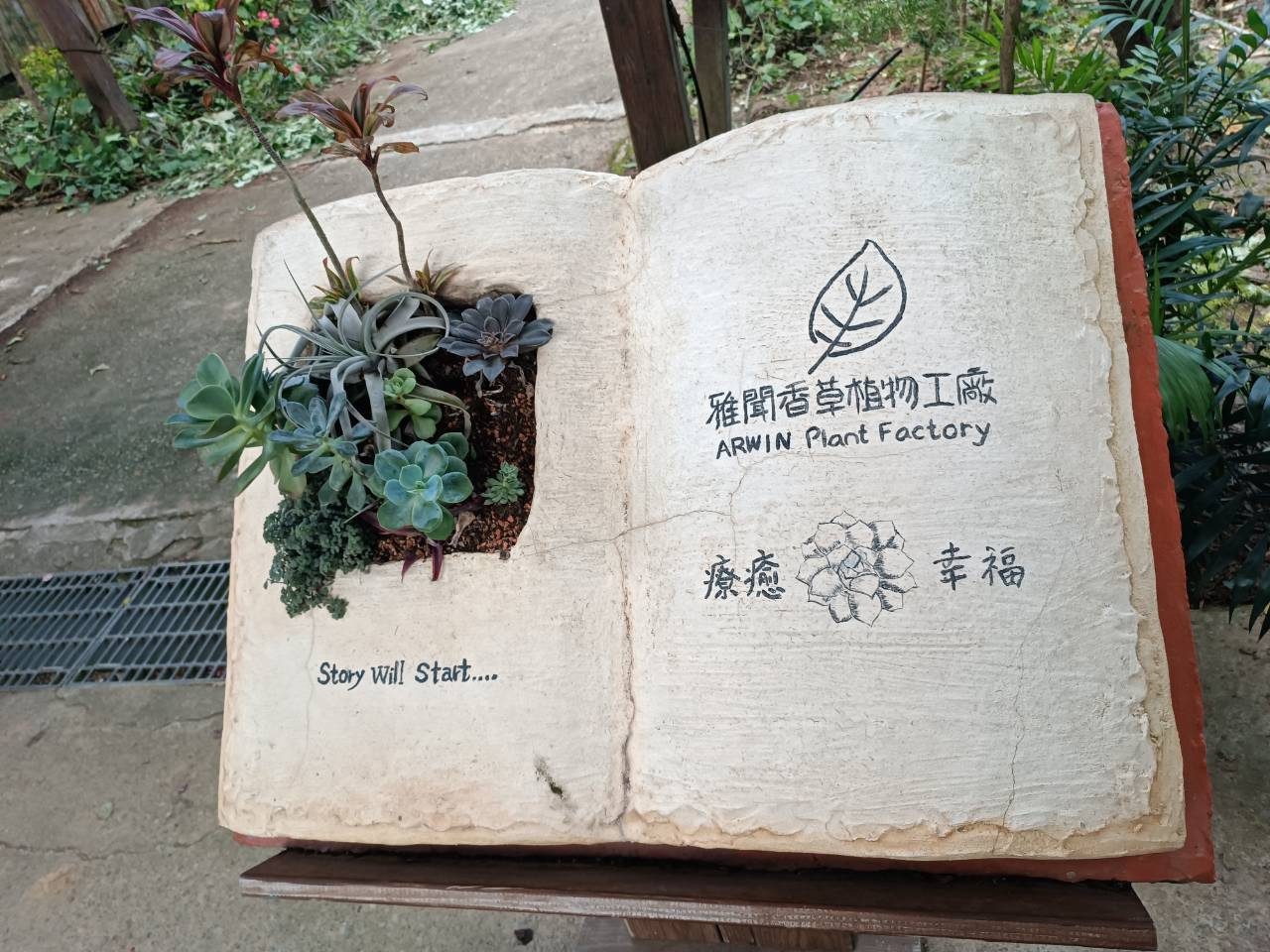 照片