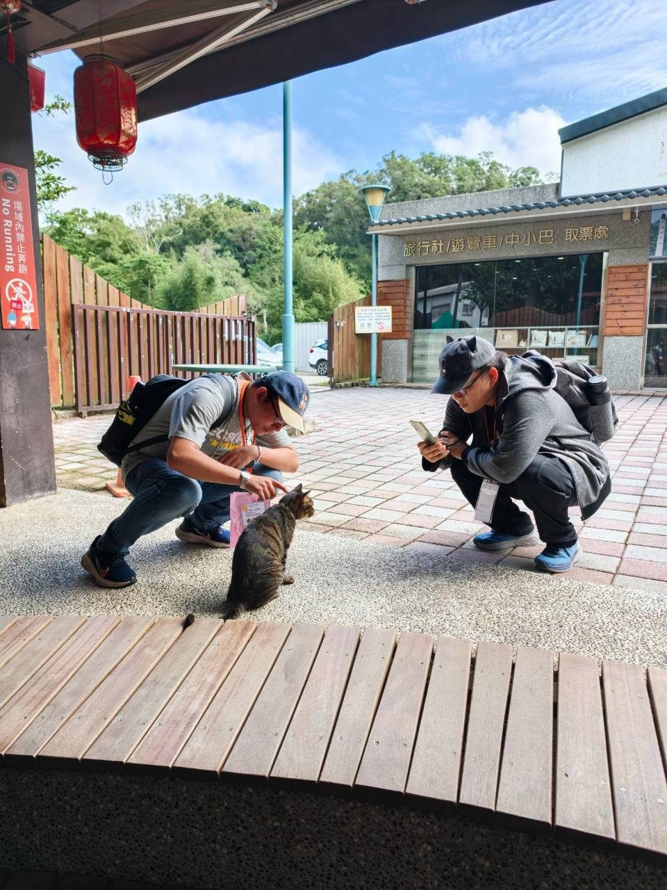 照片