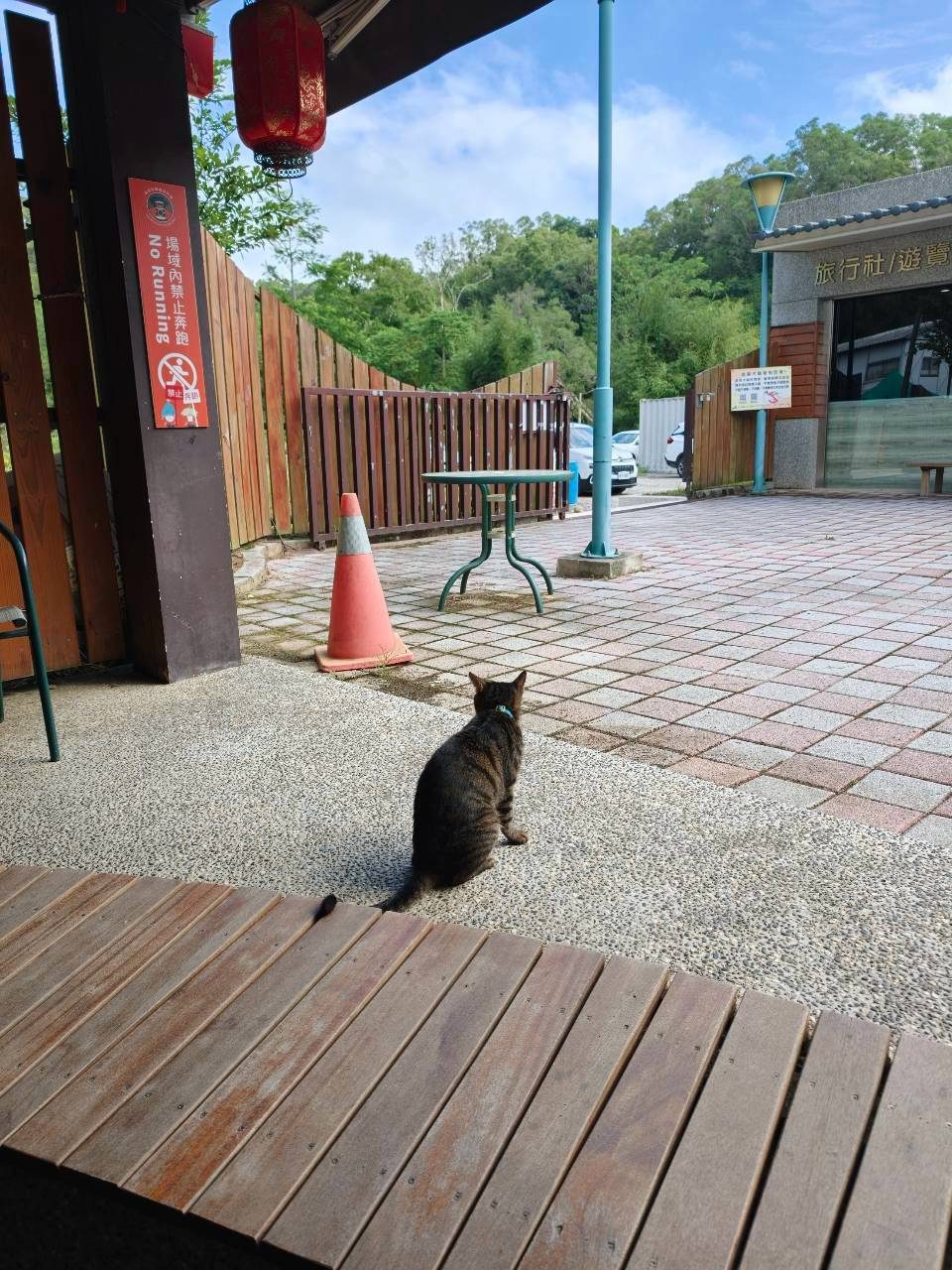 照片