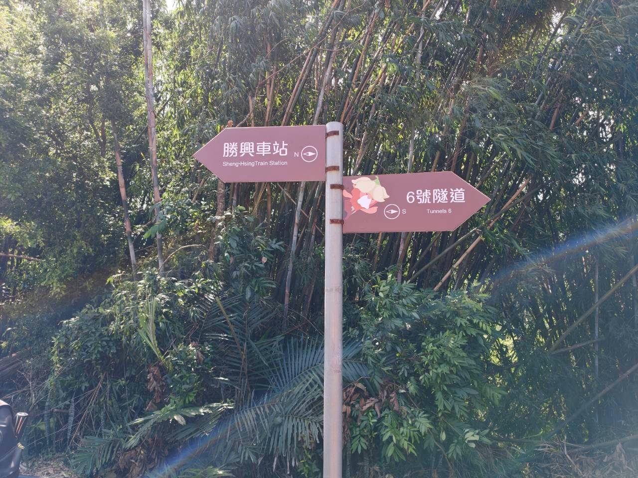 照片