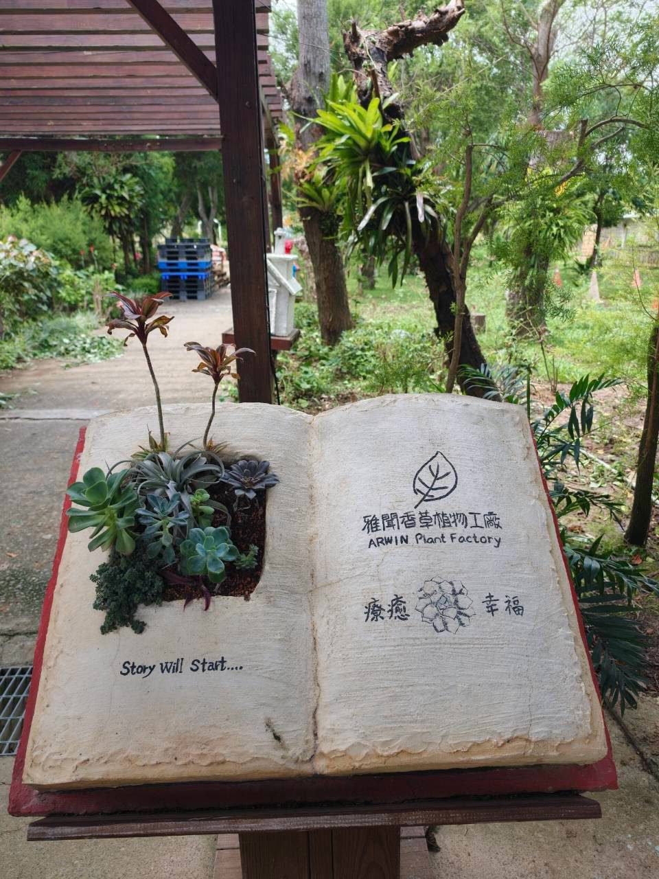 照片