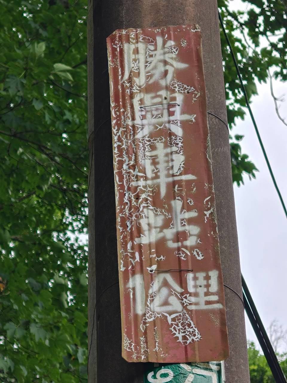 照片